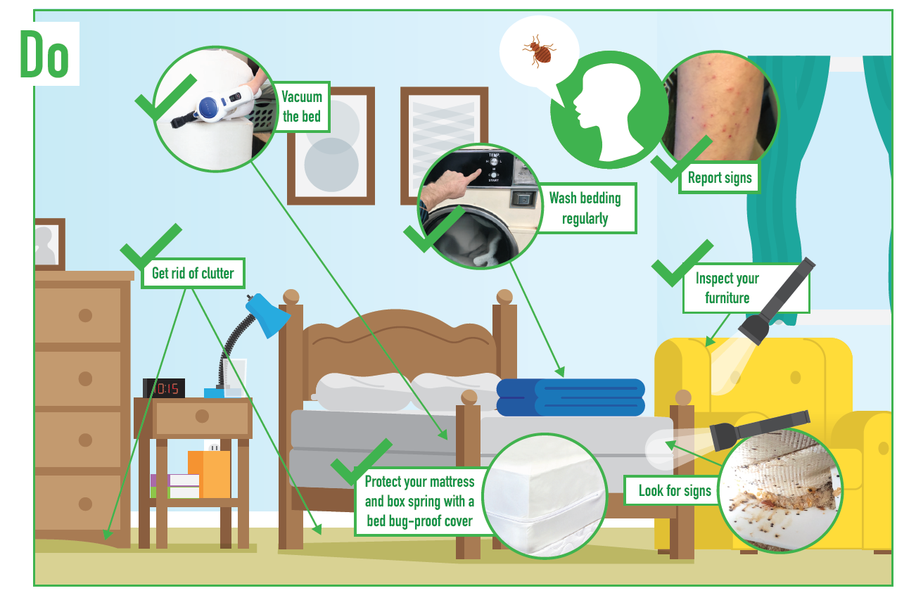 Stop Bed Bugs! picture-based guide